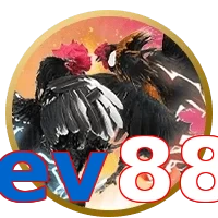 ev88